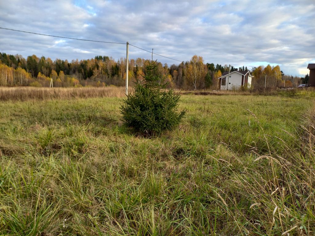 Купить Земельный Участок В Д